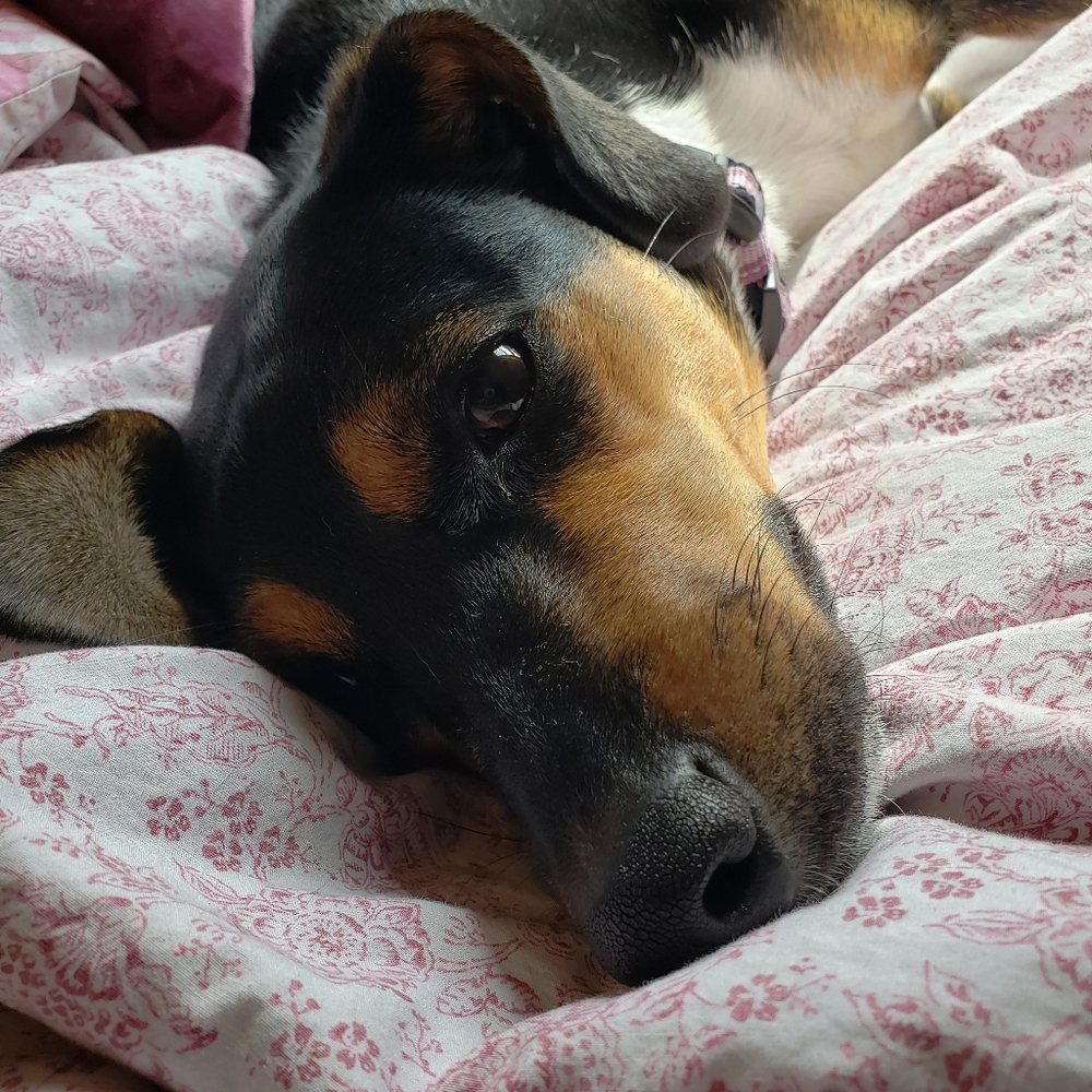 Meet your Posher, Heather